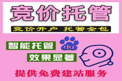 百度推广实战攻略：案例与技巧